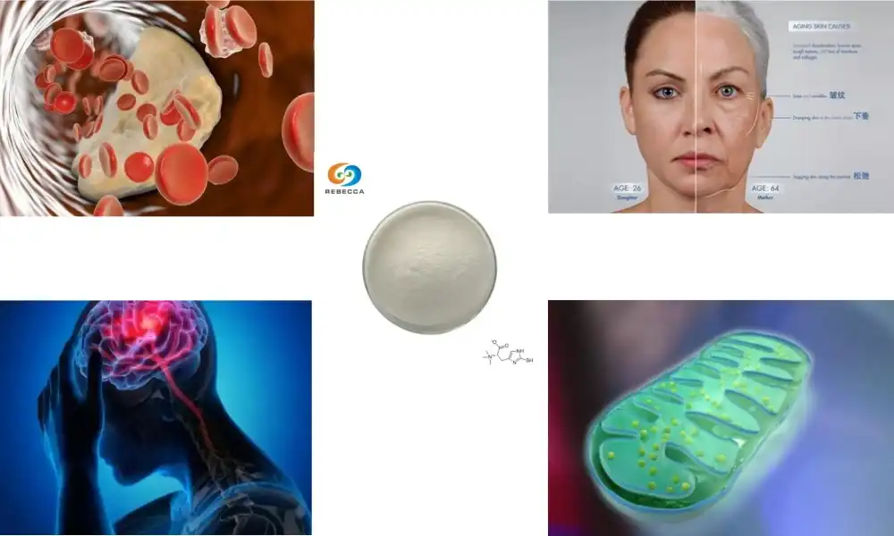 L‑Ergothioneine vs Glutathione: Which Antioxidant Wins? L‑Ergothioneine vs Glutathione: Which Antioxidant Wins?